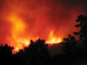 Feu de forêt à Marseille (Bouches-du-Rhône, FR)