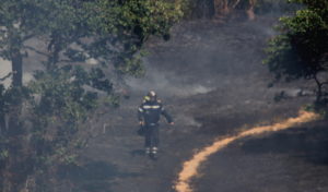 Feu de parc à Marseille (Bouches-du-Rhône, FR)