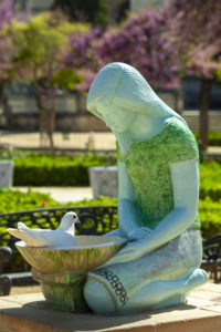 Pigeon Biset (Séville, ES)