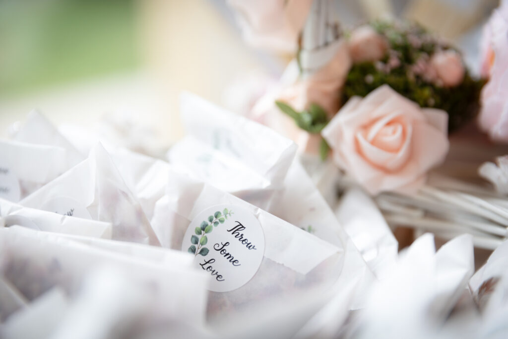 Mariage Roanne - France