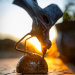 _S1A9936 SBU Photographie