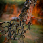 _S1A9950 SBU Photographie